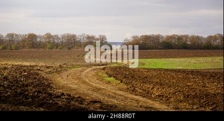Landwirtschaftliches Feld mit Schmutz und verdrehter Straße in der Mitte. Frisch gepflügte Flächen im Herbst mit Eichen im Hintergrund. Stockfoto