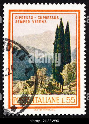 ITALIEN - UM 1966: Eine in Italien gedruckte Marke zeigt Zypressen, Cupressus Sempervirens, um 1966 Stockfoto