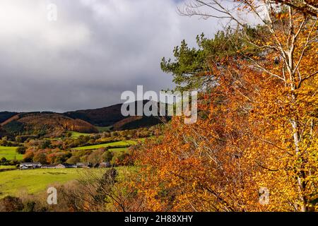 Das Gebiet der Clwydian Range von außergewöhnlicher natürlicher Schönheit, Nordwales, im Herbst Stockfoto