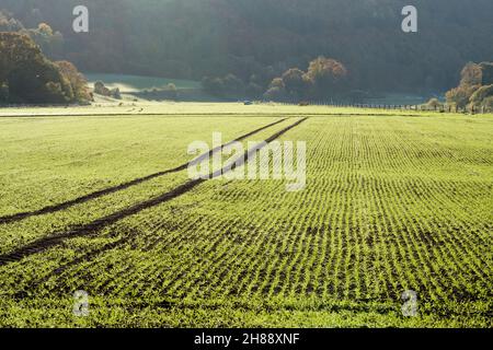 Ländliche Landschaft bei Gewissenruh, Wesertal, Weser-Hochland, Weserbergland, Hessen, Deutschland Stockfoto