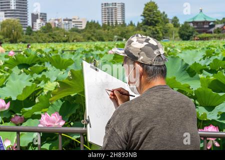 Ein Japaner erstellt eine Bleistiftskizze von blühenden Lotuspflanzen auf dem Shinobzu Teich und dem Benten Tempel im Ueno Park, Tokio, Japan. Stockfoto