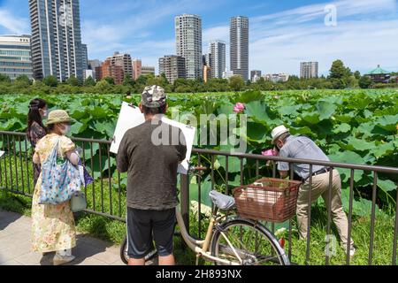 Japanische Menschen versammeln sich um blühende Lotuspflanzen am Shinobzu Pond im Ueno Park, Tokio, Japan. Stockfoto