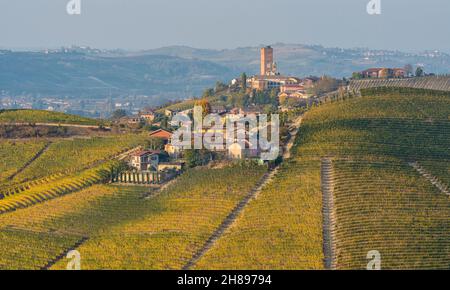 Wunderschöne Hügel und Weinberge während der Herbstsaison rund um Barbaresco Dorf. In der Region Langhe, Cuneo, Piemont, Italien. Stockfoto