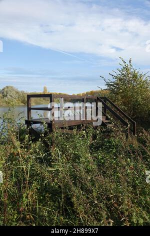 Hölzerne Aussichtsplattform inmitten von Büschen am Ufer des Erholungsgebiets Blaue Adria und natürlicher Lebensraum an einem Herbsttag, Altrip, Deutschland Stockfoto