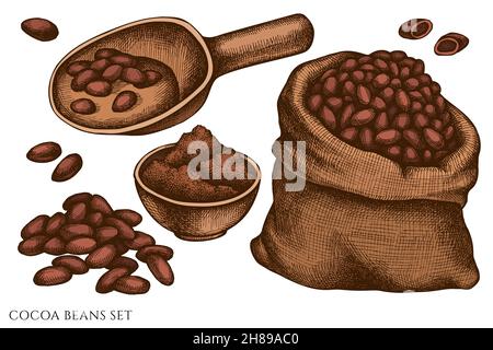 Vektor-Set von handgezeichneten farbigen Kakaobohnen Stock Vektor