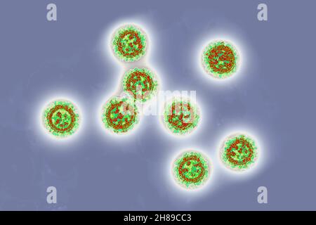 Coronavirus Stockfoto