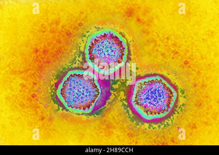 Adenovirus Stockfoto