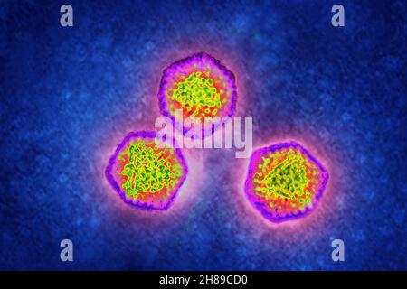 Adenovirus Stockfoto