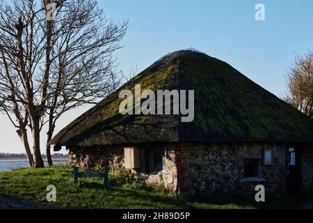 Kleine reetgedeckte Hütte im Pagham Harbour Nature Reserve gesehen. Stockfoto