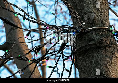 Vorbereitung auf das neue Jahr. Girlanden mit Blumenzwiebeln auf den Bäumen der Straßen der Stadt. Stockfoto
