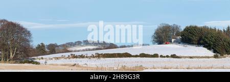 Ein Winterpanorama in Aberdeenshire, Schottland, mit Blick über schneebedeckte Felder in Richtung einer alten Scheune, mit einer Reihe von Bäumen am fernen Horizont Stockfoto