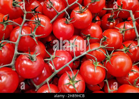 Nahaufnahme eines Stapels gelber Kirschtomaten zum Verkauf an einem Marktstand. Stockfoto