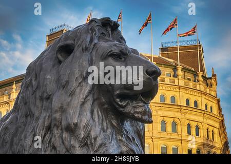 löwenstatuen trafalgar Square Stockfoto