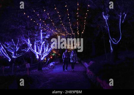 Jerusalem, Israel. 28th. November 2021. Winter Lights 2021 wird im Botanischen Garten von Jerusalem eröffnet, um den Beginn der Chanukka-Saison und die Weihnachtszeit zu feiern. Auf den europäischen Weihnachtsmärkten winken Food Trucks, die Crêpes Suzette, geröstete Kastanien, Bratwurst und heiße Sangria anbieten. Kredit: Nir Alon/Alamy Live Nachrichten Stockfoto