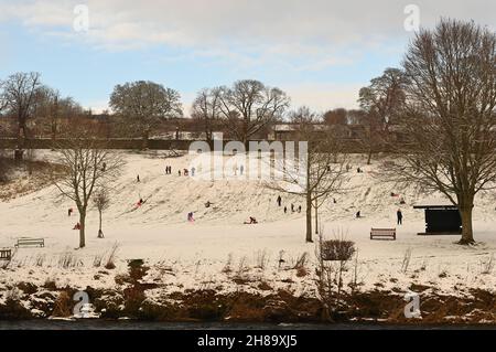 Peebles, Scottish Borders, UK 28th Nov21 schwerer Nachtschnee trifft die Scottish Borders. Peebles Youngsters, Rodeln in Hay Lodge Park, Quelle: eric mccowat/Alamy Live News Stockfoto