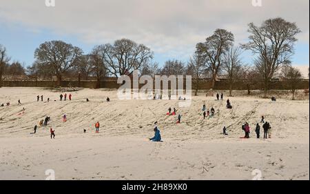 Peebles, Scottish Borders, UK 28th Nov 21 schwerer Schnee über Nacht trifft die Scottish Borders. Peebles Youngsters, Rodeln im Hay Lodge Park, . Kredit: eric mccowat/Alamy Live Nachrichten Stockfoto