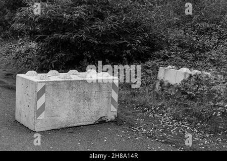 Betonblock auf einem Waldweg. Stockfoto