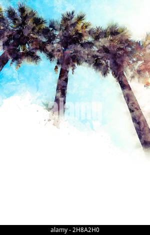 Aquarellzeichnung. Bild von schönen Palmen auf dem Hintergrund des Berujus-Himmels Stockfoto