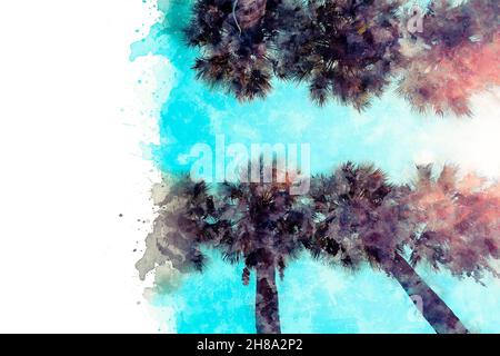 Aquarellzeichnung. Bild von schönen Palmen auf dem Hintergrund des Berujus-Himmels Stockfoto