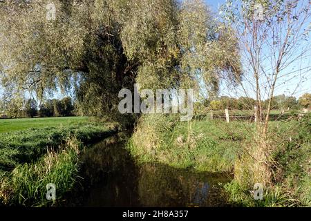 Fussgängerbrücke aus Holz über die Wipperau, Oetzen, Niedersachsen, Deutschland Stockfoto