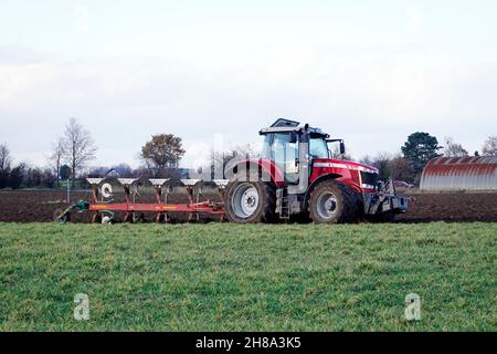 Bauer pflügt mit einem großen Traktor Gründung unter, Nordrhein-Westfalen, Deutschland, Weilerswist Stockfoto