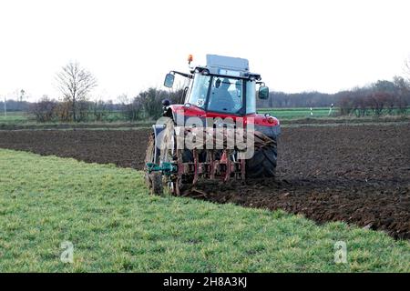 Bauer pflügt mit einem großen Traktor Gründung unter, Nordrhein-Westfalen, Deutschland, Weilerswist Stockfoto