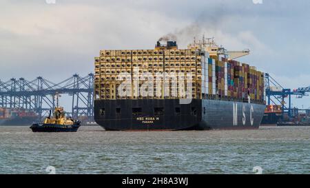 Kühlcontainer an Bord des in Panama registrierten Containerschiffes MSC Rosa M, das nach Felixstowe Port UK eindringt Stockfoto