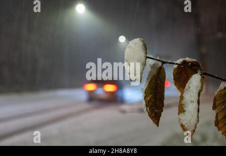 Stuttgart, Deutschland. 28th. November 2021. Schneebedeckte Blätter hängen an einem Ast vor einer verschneiten Straße. Quelle: Bernd Weißbrod/dpa/Alamy Live News Stockfoto