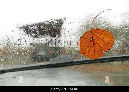 Herbstblatt, das an der Windschutzscheibe festklebt und durch Regentropfen nass wird. Blick aus dem Auto für den Herbst. Saison- und Wetterkonzept. Stockfoto