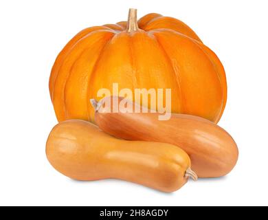 Drei verschiedene Kürbisse auf weißem Hintergrund isoliert Stockfoto