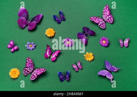 Lebendige violette Schmetterlinge auf grünem Hintergrund Stockfoto