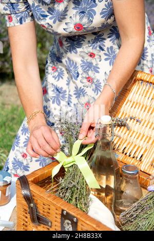 Nahaufnahme einer Frau, die einen Picknickkorb im Lavendelfeld arrangiert Stockfoto