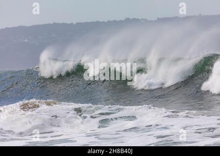 Riesige Meere am Palm Beach in Sydney bei wildem Sommerwetter nutzen einige Surfer die großen Wellen Australiens Stockfoto