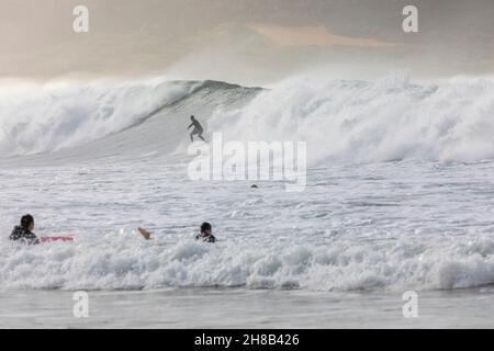 Riesige Meere am Palm Beach in Sydney bei wildem Sommerwetter nutzen einige Surfer die großen Wellen Australiens Stockfoto