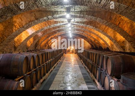 Alte Holzfässer mit Wein in den alten mittelalterlichen Kellern Stockfoto