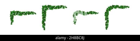 Efeu Ecken, Kletterpflanze mit grünen Blättern von kriechenden Pflanzen für Rand- oder Rahmendekoration. Hedera Ast hängt an der Gartenwand, isoliert auf weißem Hintergrund. Realistische 3D-Vektor-Illustration, Set Stock Vektor
