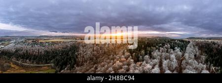 Gefrorener Waldbaum im Abendlicht in der Luftaufnahme. Stockfoto