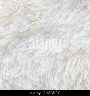 Teppichstruktur mit langem Flor. Abstrakter Hintergrund aus zotteligen weißen Fasern. Hochwertige Fotos Stockfoto
