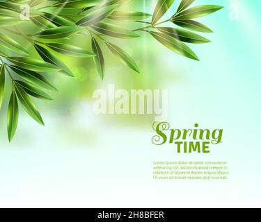 Zweige von Olivenbaum mit grünen Blättern im Frühjahr Sonnenlicht Am blauen Himmel Hintergrund flache Vektor-Illustration Stock Vektor