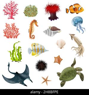 Set von Sea Life Cartoon-Symbole mit Fisch Korallen Algen Abbildung des Vektorgrafikes der Schale für wirbellose Tiere Stock Vektor