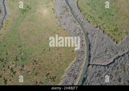 Landschäden durch Salzwasser bei Dhal Chhar in Bhola, Bangladesch. Dhal Char ist eine der zahlreichen Inseln im Delta des Meghna River Stockfoto