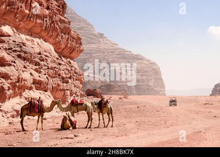 Jeep-Safari in der Wüste Wadi Rum, Jordanien. Touristen im Auto fahren im Gelände auf Sand zwischen den schönen Felsen. Wüstenlandschaft mit vier Kamelen, rotes san Stockfoto