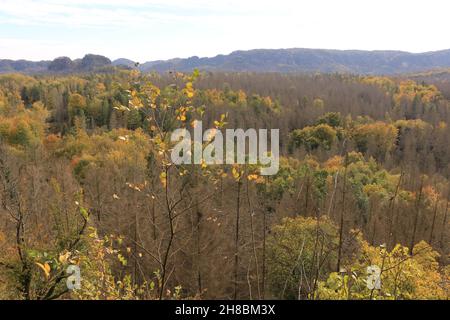 Impressionen von dem Naturdenkmal 'Kuhstall' in der Sächsischen Schweiz Stockfoto