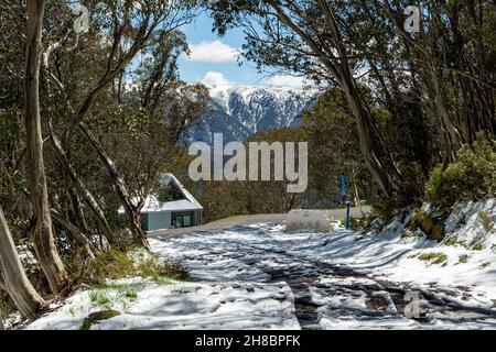 Snowy Track im späten Frühling, Falls Creek, Victoria, Australien Stockfoto