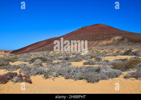 Bermeja am Strand Playa de las Conchas. Die Insel La Graciosa, die zu Lanzarote, Kanarische Inseln, Spanien gehört. Stockfoto