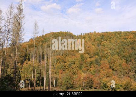 Impressionen von dem Naturdenkmal 'Kuhstall' in der Sächsischen Schweiz Stockfoto