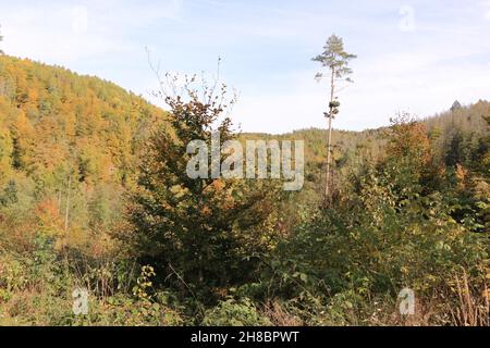 Impressionen von dem Naturdenkmal 'Kuhstall' in der Sächsischen Schweiz Stockfoto