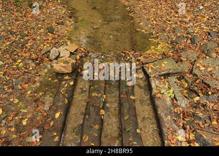 Impressionen von dem Naturdenkmal 'Kuhstall' in der Sächsischen Schweiz Stockfoto