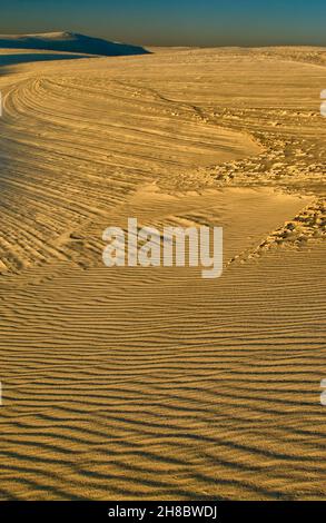 Geschwungene Gipskämme und Wellen an Dünen im Alkali Flat Trail bei Sonnenuntergang im White Sands National Park, New Mexico, USA Stockfoto