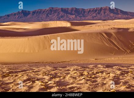 Zementierte Gipssandkruste, Dünen im Alkali Flat Trail Gebiet, San Andres Mountains in der Ferne, Sonnenaufgang, White Sands National Park, New Mexico, USA Stockfoto